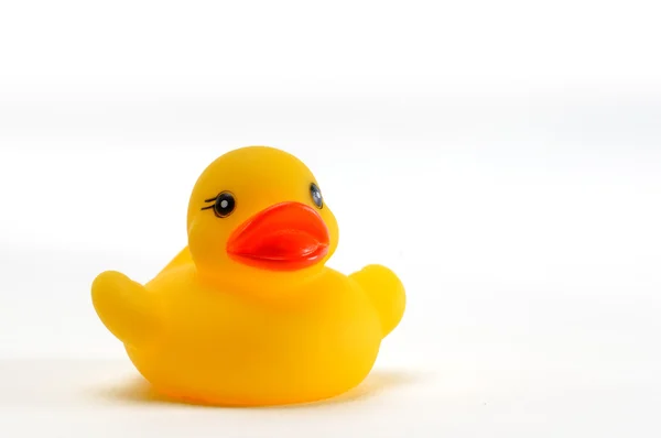 Single toy duck — Stock Photo, Image