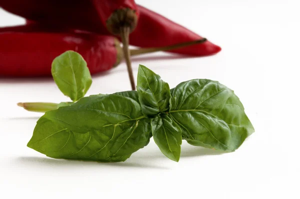 Basil leaves with red chillies — Stock Photo, Image