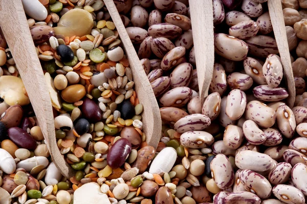 Spoons full of pulses and beans — Stock Photo, Image