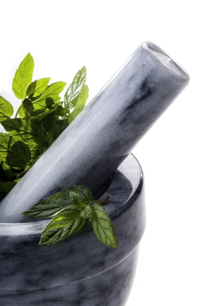 Preparation containing mint — Stock Photo, Image