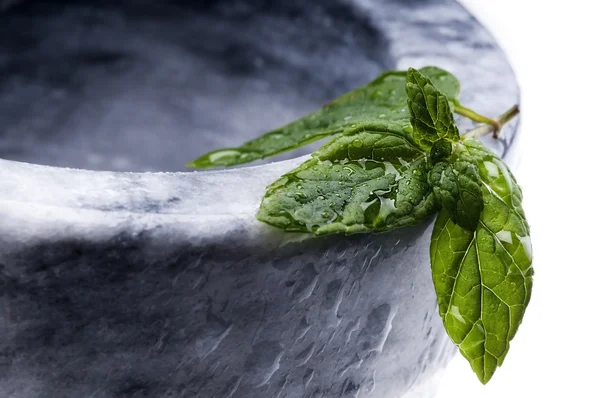 Çiğ seçici odak ile ıslak bir nane yaprağı — Stok fotoğraf