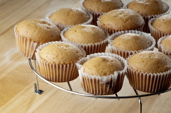 Cupcakes, vers gebakken — Stockfoto