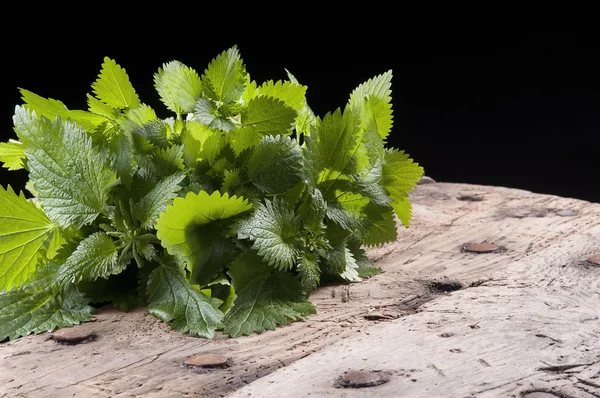 Nettles.NEF — Stockfoto