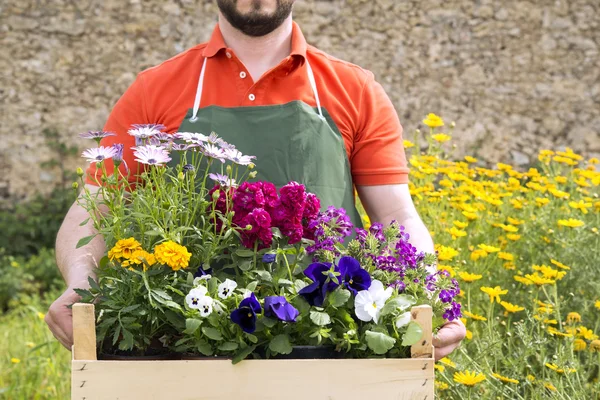 Floristería joven con flores de primavera — Foto de Stock