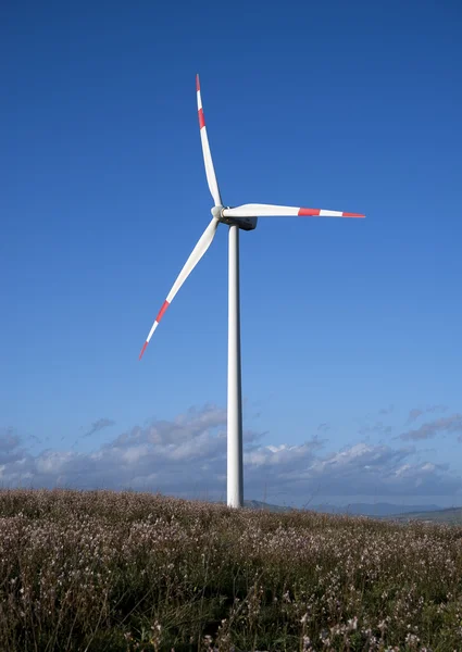 Vindkraftverk i ett fält med en blå himmel — Stockfoto