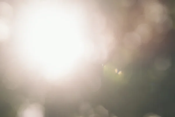 mercek parlaması ile Mevsimlik arka plan ışık