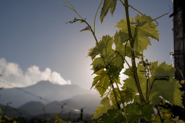 Etna yanardağı içinde belgili tanımlık geçmiş ile bağ.