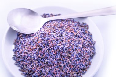 mor lavanta çiçekleri 