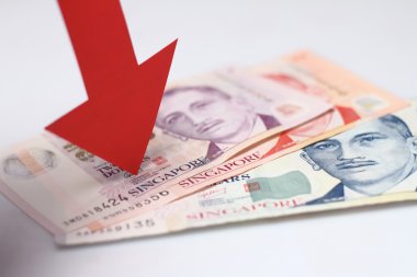Değeri düşen Singapur Doları