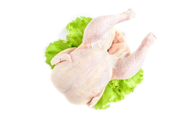 生鸡肉和绿色色拉 白色背景分离 — 图库照片