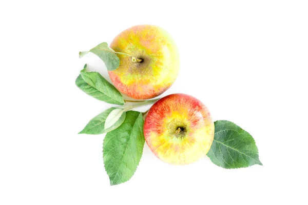 Jabłka Liśćmi Kijami Cynamonowymi Izolowane Białym Tle — Zdjęcie stockowe