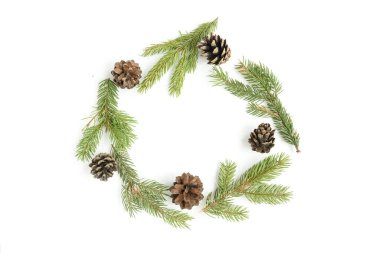 Beyaz arkaplanda izole edilmiş dallar ve koniler.