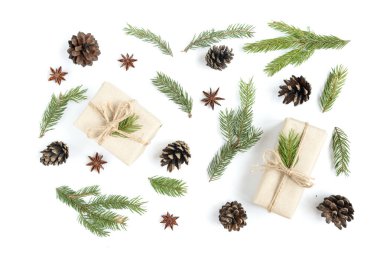 Beyaz üzerine izole edilmiş firavun dalları. Noel ağacı. Mutlu yıllar ve mutlu Noeller.