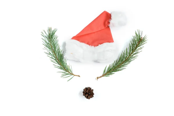 Ciervo Navidad Ramas Abeto Sombrero Navidad Conos Aislados Sobre Fondo —  Fotos de Stock