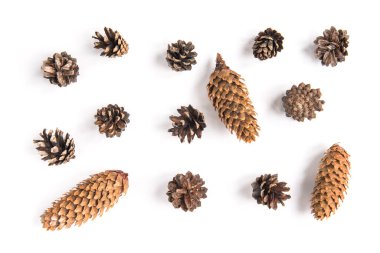 Beyaz arkaplanda izole edilmiş koni bileşimi.