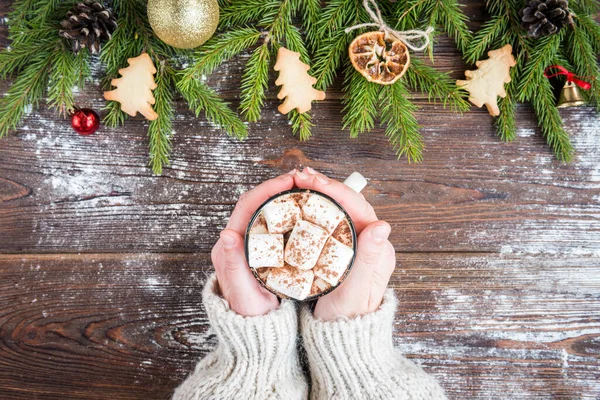 Becher Mit Heißer Schokolade Mit Eibisch Gewürzen Weihnachtlichem Ingwerplätzchen Tannenzweigen — Stockfoto