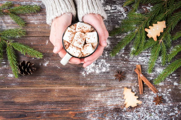 Becher Mit Heißer Schokolade Mit Eibisch Gewürzen Weihnachtlichem Ingwerplätzchen Tannenzweigen — Stockfoto