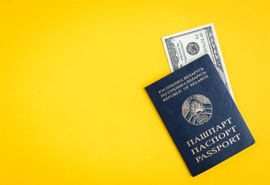 Sarı arka planda dolarları olan Belarus pasaportu. Yaz tatili.