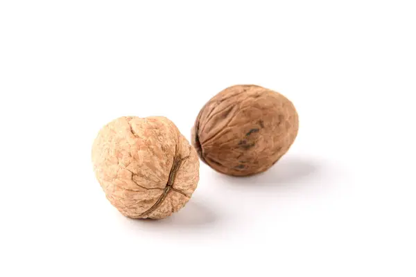 Walnut Isolated White Background — Stock Photo, Image