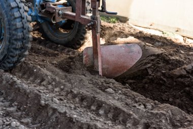 Sahada çalışan bir adam. Bir adam araziyi motorlu ekiciyle sürüyor.