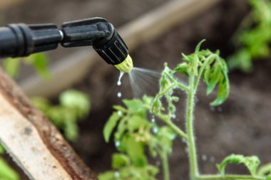 Bahçedeki bitkilerin suyu..