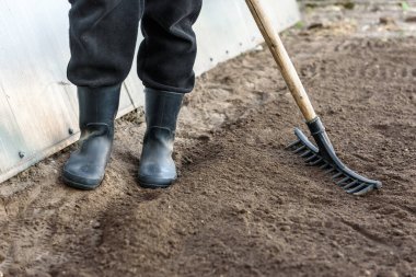 Bahçede tarlada çalışan çiftçi. Ekmek için zemin hazırlama.