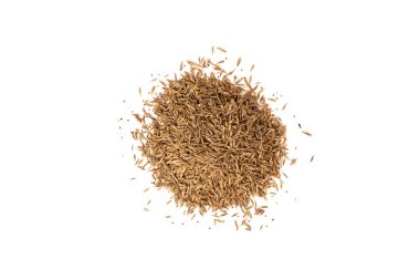 Beyaz arkaplanda çimen tohumları izole.