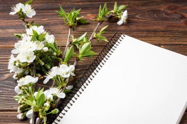 Bahar çiçekleri kiraz dalları ve koyu ahşap arka planda bir defter..