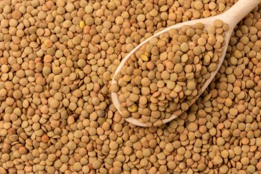 Green lentil background with wooden spoon