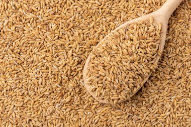 Oat background with wooden spoon