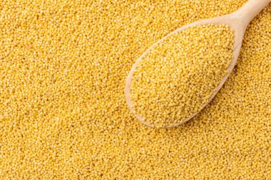 Millet background with wooden spoon.