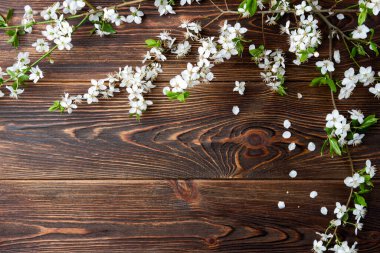 Bahar çiçekleri kiraz dalları ve koyu ahşap arka planda bir defter..