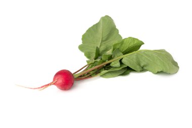 Beyaz arkaplanda kırmızı turp izole edildi.