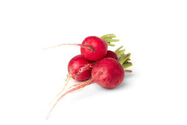 Ravanello Rosso Isolato Sfondo Bianco — Foto Stock