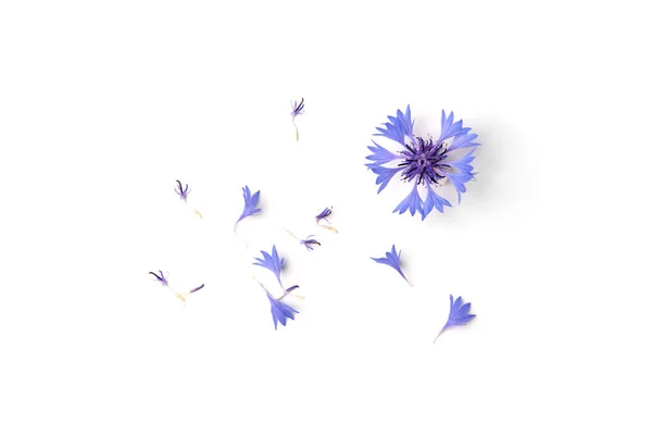被白色背景隔离的蓝色玉米花 — 图库照片