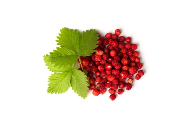 Fresas Silvestres Aisladas Sobre Fondo Blanco — Foto de Stock