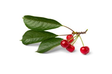 Beyaz arkaplanda kiraz izole.