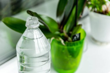 Balkondaki orkide çiçeğini sulamak..