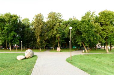 Kaldırımlı yeşil şehir parkı.