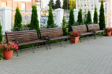 Şehir parkındaki ahşap banklar..