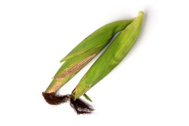 Beyaz arkaplanda izole edilmiş taze mısır.