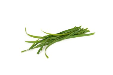 Beyaz arkaplanda izole edilmiş çimenler.