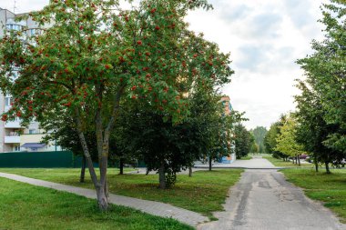 Kaldırımlı yeşil şehir parkı.