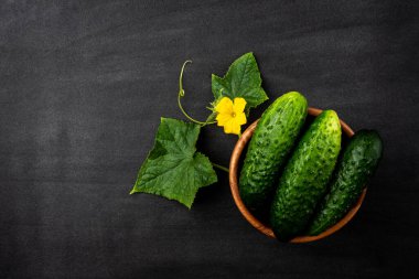 Siyah arka planda taze salatalıklar.