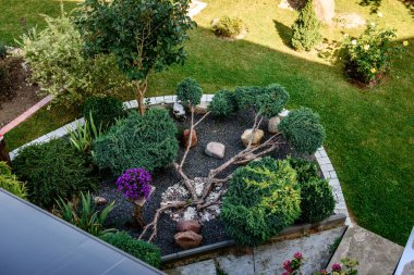 thuja ile arka bahçenin peyzaj tasarımı.