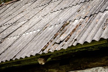 Dirty slate roof on old house.