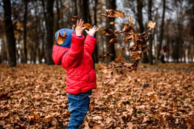 Parkta düşen sonbahar yapraklarıyla oynayan çocuk.