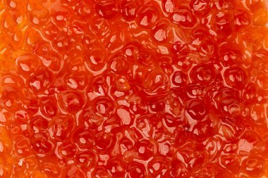 Beyaz arkaplanda kırmızı havyar izole edildi.