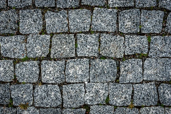 The texture of stone walkway. Cement brick squared stone floor background. Concrete paving slabs.