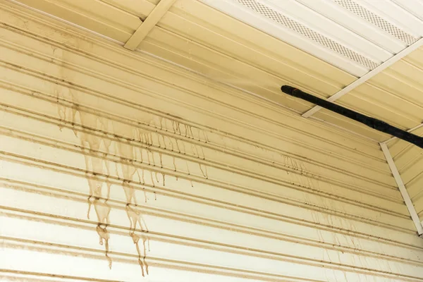 Vinil kaplama duvarını yüksek basınçlı çamaşır makinesiyle temizliyorum..